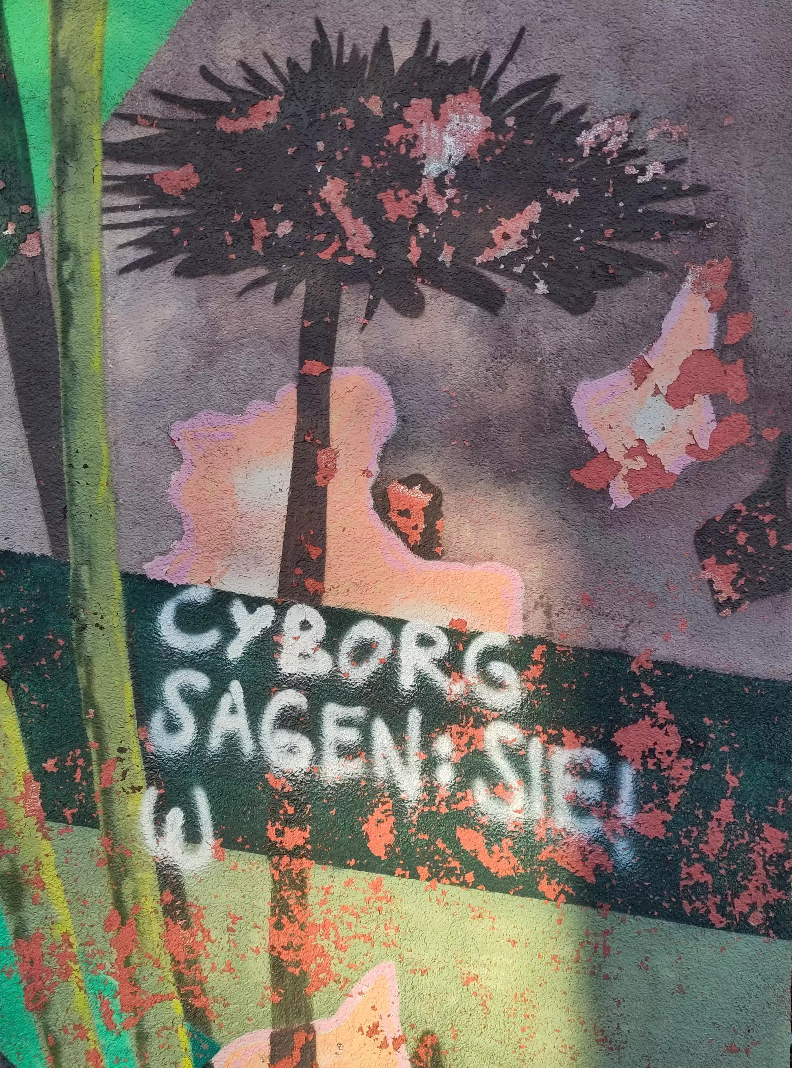 Cyborg sagen: Sie!